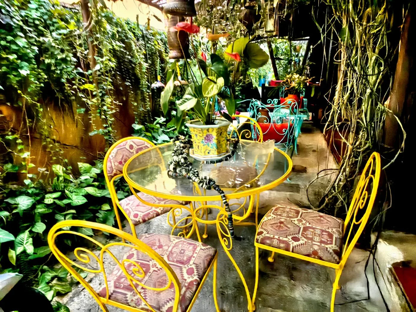 Nosso jardim